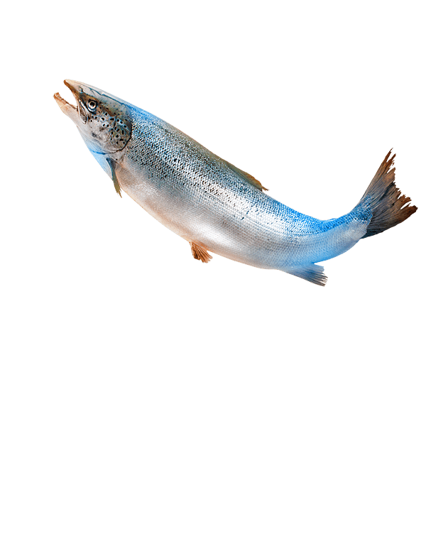 水產